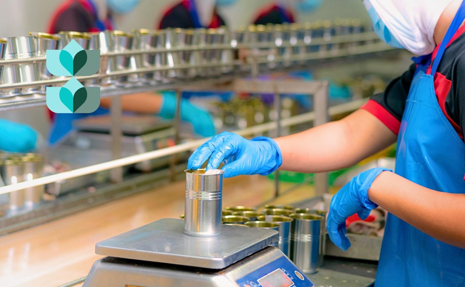 Net Weight vs Gross Weight Understanding the Differences and Calculations